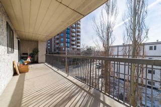 Photo 15: 301 305 25 Avenue SW in Calgary: Mission Apartment for sale : MLS®# A2109893