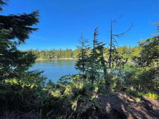 Photo 14: 1172 Coral Way in Ucluelet: PA Ucluelet Land for sale (Port Alberni)  : MLS®# 915673
