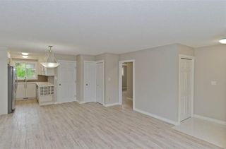 Photo 10: 5119 26 Avenue NE in Calgary: Rundle Detached for sale : MLS®# A1199257