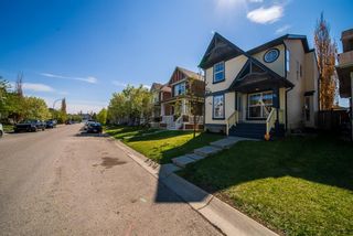 Photo 48: 51 Auburn Bay Manor SE in Calgary: Auburn Bay Detached for sale : MLS®# A1222301