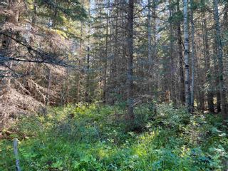 Photo 8: LOT 3 CAVE Road in Williams Lake: Horsefly Land for sale : MLS®# R2719437
