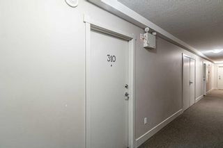 Photo 11: 310 505 19 Avenue SW in Calgary: Cliff Bungalow Apartment for sale : MLS®# A2115025