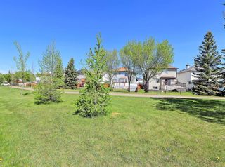 Photo 31: 681 Coventry Drive NE in Calgary: Coventry Hills Detached for sale : MLS®# A1174180