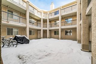 Photo 2: 105 3912 Stanley Road SW in Calgary: Parkhill Apartment for sale : MLS®# A2021526