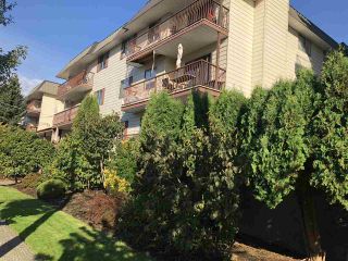 Photo 20: 214 45749 SPADINA Avenue in Chilliwack: Chilliwack W Young-Well Condo for sale in "Chilliwack Gardens" : MLS®# R2487564