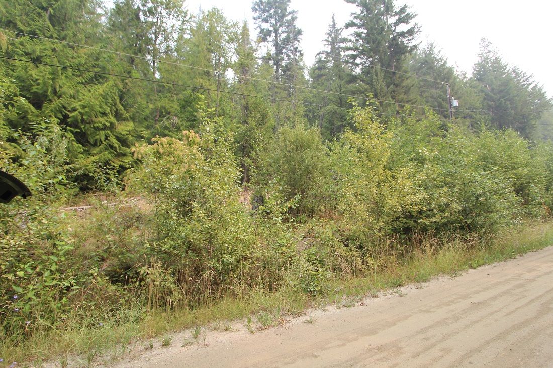Main Photo: Lot 151 Vickers Trail in Anglemont: Land Only for sale : MLS®# 10243742