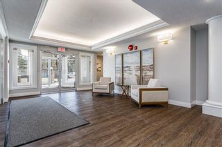 Photo 28: 209 9449 19 Street SW in Calgary: Palliser Apartment for sale : MLS®# A1057053