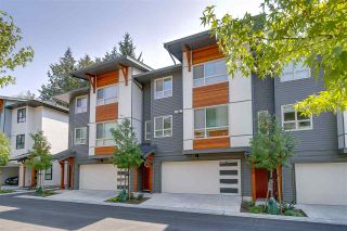 Photo 1: 72 8508 204 Street in Langley: Willoughby Heights Townhouse for sale in "ZETTER PLACE" : MLS®# R2294651