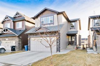 Photo 2: 57 Skyview Springs Road NE in Calgary: Skyview Ranch Detached for sale : MLS®# A1180474