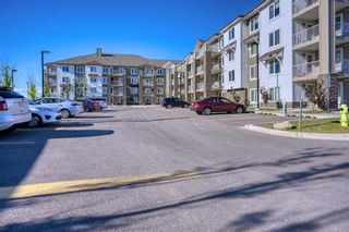 Photo 19: 1106 6118 80 Avenue NE in Calgary: Saddle Ridge Apartment for sale : MLS®# A2123612