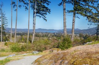 Photo 43: 2183 Stonewater Lane in Sooke: Sk Broomhill House for sale : MLS®# 874131