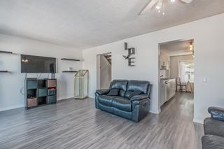 Photo 16: 307 Abinger Crescent NE in Calgary: Abbeydale Detached for sale : MLS®# A2035191