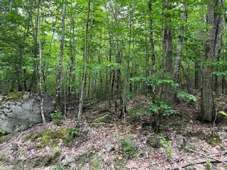 Photo 3: 8 Otter Run in Labelle: 406-Queens County Vacant Land for sale (South Shore)  : MLS®# 202316992
