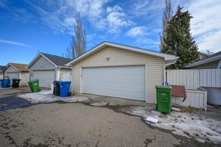 Photo 32: 124 Inverness Rise SE in Calgary: McKenzie Towne Detached for sale : MLS®# A2052890