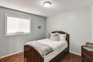 Photo 10: 144 Stonegate Crescent NW: Airdrie Detached for sale : MLS®# A1214709