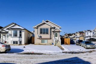 Photo 29: 60 Tarawood Grove NE in Calgary: Taradale Detached for sale : MLS®# A1224455