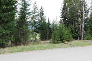 Photo 3: 99 Fraser Crescent: Anglemont Land Only for sale (North Shuswap)  : MLS®# 10097577
