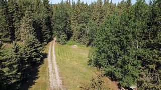 Photo 41: 33227 Range Road 52 (River Road): Rural Mountain View County Residential Land for sale : MLS®# A2054327