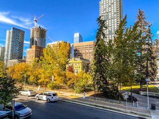Photo 11: 203 303 13 Avenue SW in Calgary: Beltline Apartment for sale : MLS®# A2118767
