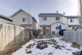 Photo 31: 73 Bridlewood Park SW in Calgary: Bridlewood Detached for sale : MLS®# A1176131