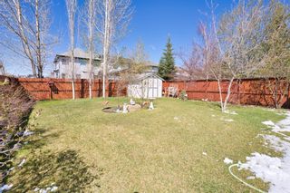 Photo 3: 202 Bridlewood Court SW in Calgary: Bridlewood Detached for sale : MLS®# A1220441