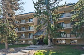 Main Photo: 104 617 56 Avenue SW in Calgary: Windsor Park Apartment for sale : MLS®# A2081847