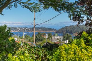 Photo 58: 521 Larch St in Nanaimo: Na Brechin Hill House for sale : MLS®# 886495