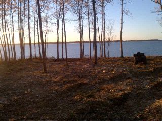 Photo 6: Lot 07-1 Shore Road in Lower Barneys River: 108-Rural Pictou County Vacant Land for sale (Northern Region)  : MLS®# 202104408