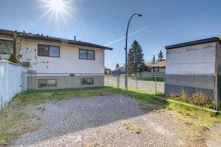 Photo 38: 174 Abalone Place NE in Calgary: Abbeydale Semi Detached for sale : MLS®# A1225319