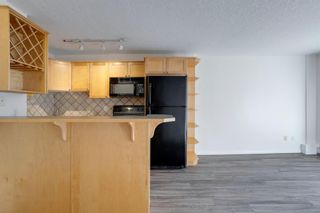 Photo 12: 205 1129 Cameron Avenue SW in Calgary: Lower Mount Royal Apartment for sale : MLS®# A1195022