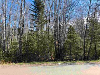 Photo 3: Lot Hall Road in South Greenwood: 404-Kings County Vacant Land for sale (Annapolis Valley)  : MLS®# 202110363