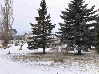 Photo 4: 10843 110 Street: Westlock Vacant Lot for sale : MLS®# E4223231