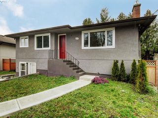 Photo 1: 3590 Shelbourne St in VICTORIA: SE Cedar Hill House for sale (Saanich East)  : MLS®# 805260