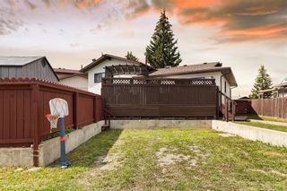 Photo 35: 331 Bedford Place NE in Calgary: Beddington Heights Detached for sale : MLS®# A2017221