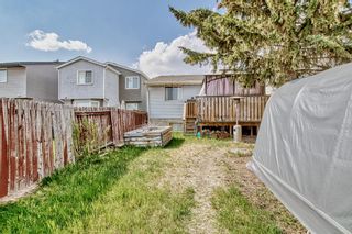 Photo 46: 729 Aboyne Way NE in Calgary: Abbeydale Detached for sale : MLS®# A2051068