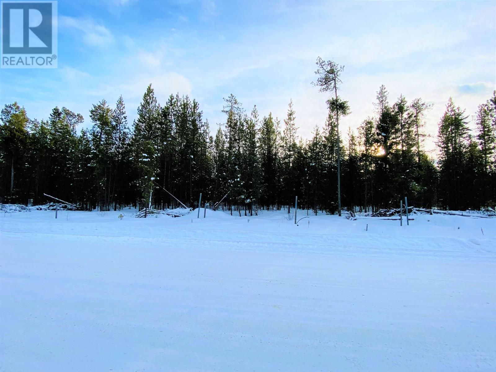 Main Photo: 1235 18TH AVENUE in Valemount: Vacant Land for sale : MLS®# R2742386