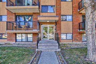 Photo 4: 305 1829 11 Avenue SW in Calgary: Sunalta Apartment for sale : MLS®# A2107449