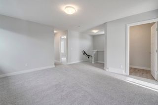 Photo 25: 228 Red Sky Terrace NE in Calgary: Redstone Detached for sale : MLS®# A1064865