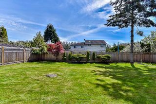 Photo 19: 12290 72A Avenue in Surrey: West Newton House for sale : MLS®# R2162774