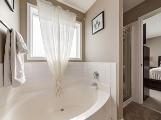 Photo 19: 87 Chapman Circle SE in Calgary: Chaparral House for sale : MLS®# 	C4064813