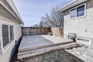 Photo 32: 126 Dovercliffe Way SE in Calgary: Dover Detached for sale : MLS®# A1082276