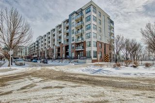Photo 19: 120 955 Mcpherson Road NE in Calgary: Bridgeland/Riverside Apartment for sale : MLS®# A2031882