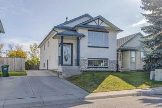 Main Photo: 54 Harvest Rose Place NE in Calgary: Harvest Hills Detached for sale : MLS®# A2081722