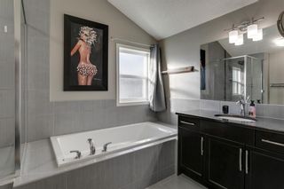 Photo 26: 43 Skyview Shores Link NE in Calgary: Skyview Ranch Detached for sale : MLS®# A1045860