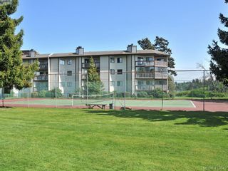 Photo 21: 308 73 W Gorge Rd in VICTORIA: SW Gorge Condo for sale (Saanich West)  : MLS®# 818279