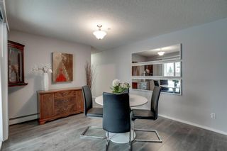 Photo 11: 2119 6224 17 Avenue SE in Calgary: Red Carpet Apartment for sale : MLS®# A2011902