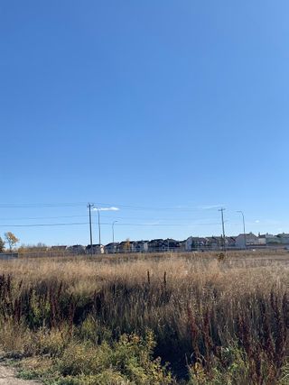 Photo 6: 4440 76 Avenue NE in Calgary: Saddleridge Industrial Industrial Land for sale : MLS®# A2005914