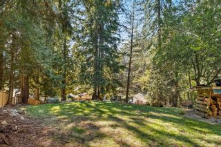 Photo 29: 14241 SILVER VALLEY Road in Maple Ridge: Silver Valley House for sale : MLS®# R2814171