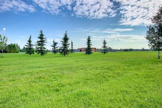 Photo 43: 154 Erin Meadow Close SE in Calgary: Erin Woods Detached for sale : MLS®# A1238377