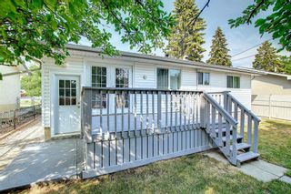 Photo 26: 331 94 Avenue SE in Calgary: Acadia Detached for sale : MLS®# A1252365